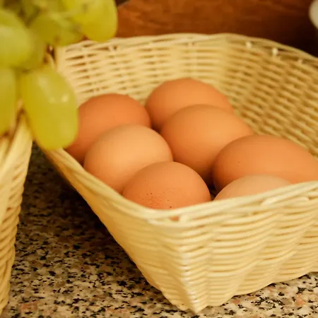 호텔 에디 호텔 3*