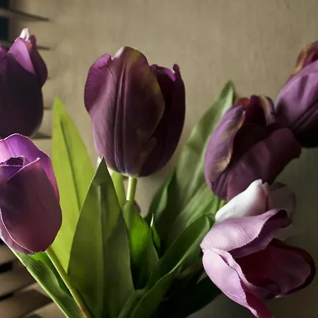 Hotel Family Hotel Edi Sofia